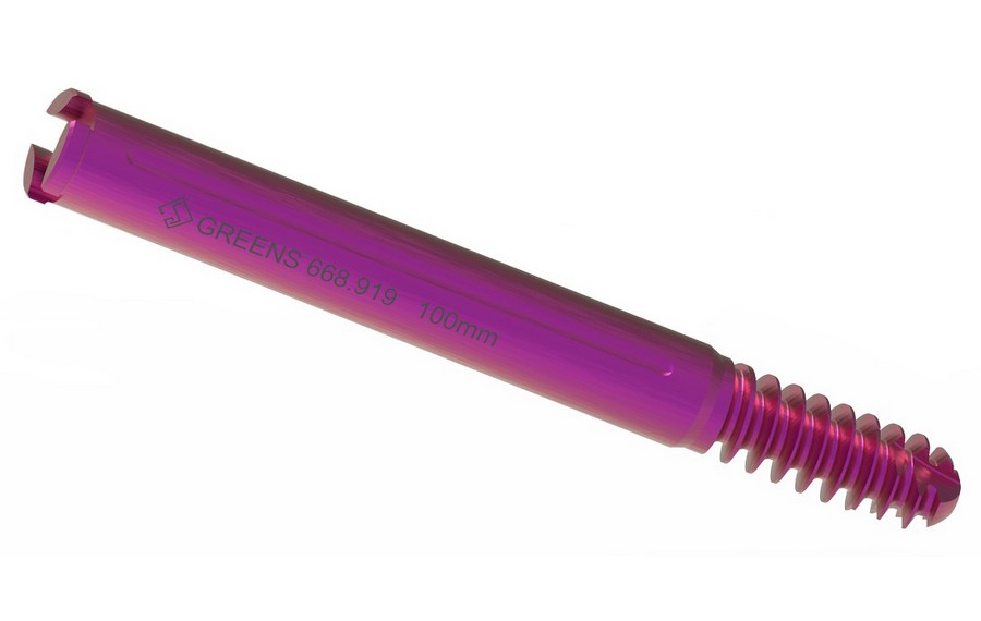 FEMORAL NECK  SCREW FOR PFNA II NAILS